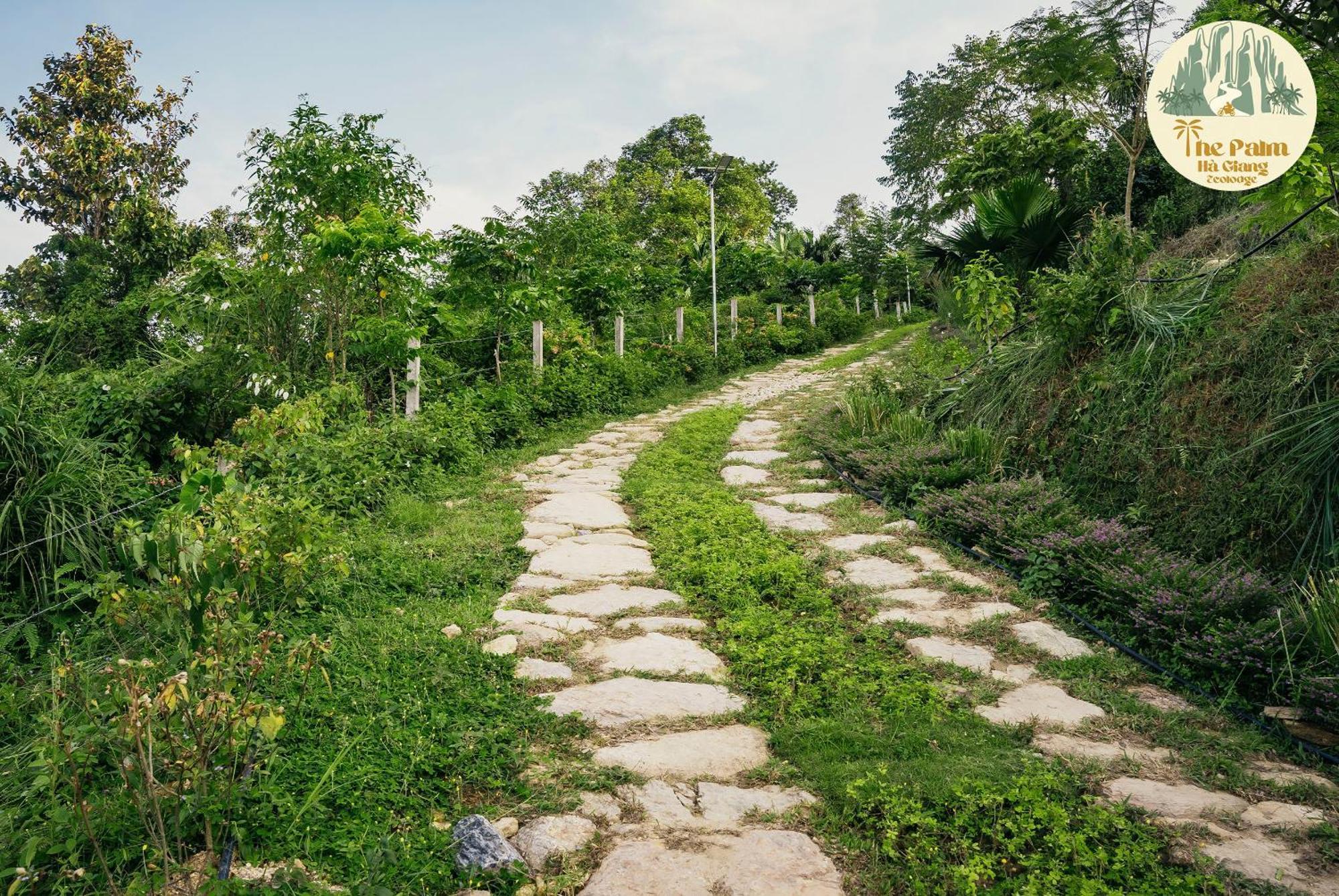 Tvpalm Ecolodge Ha Giang Dış mekan fotoğraf