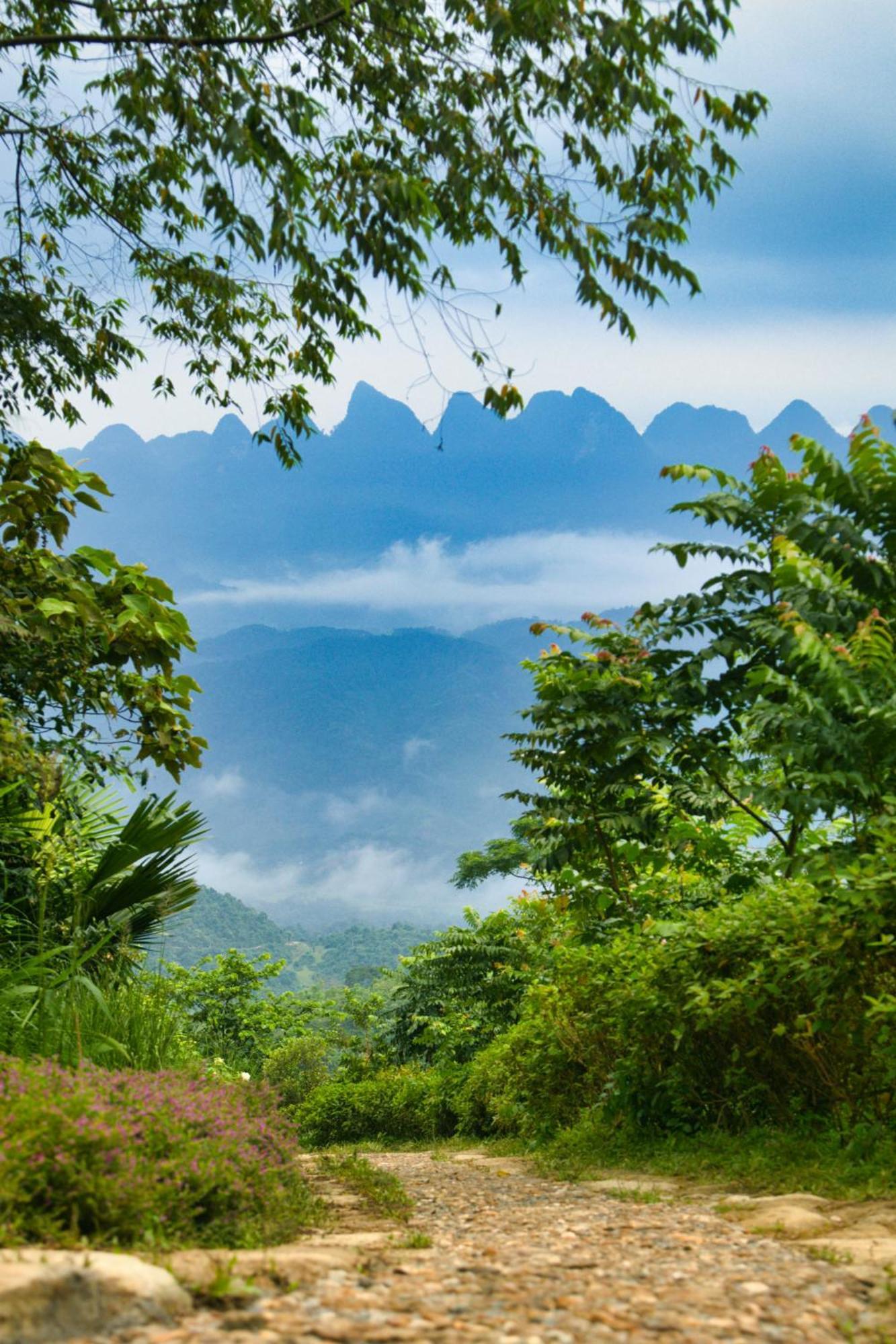 Tvpalm Ecolodge Ha Giang Dış mekan fotoğraf