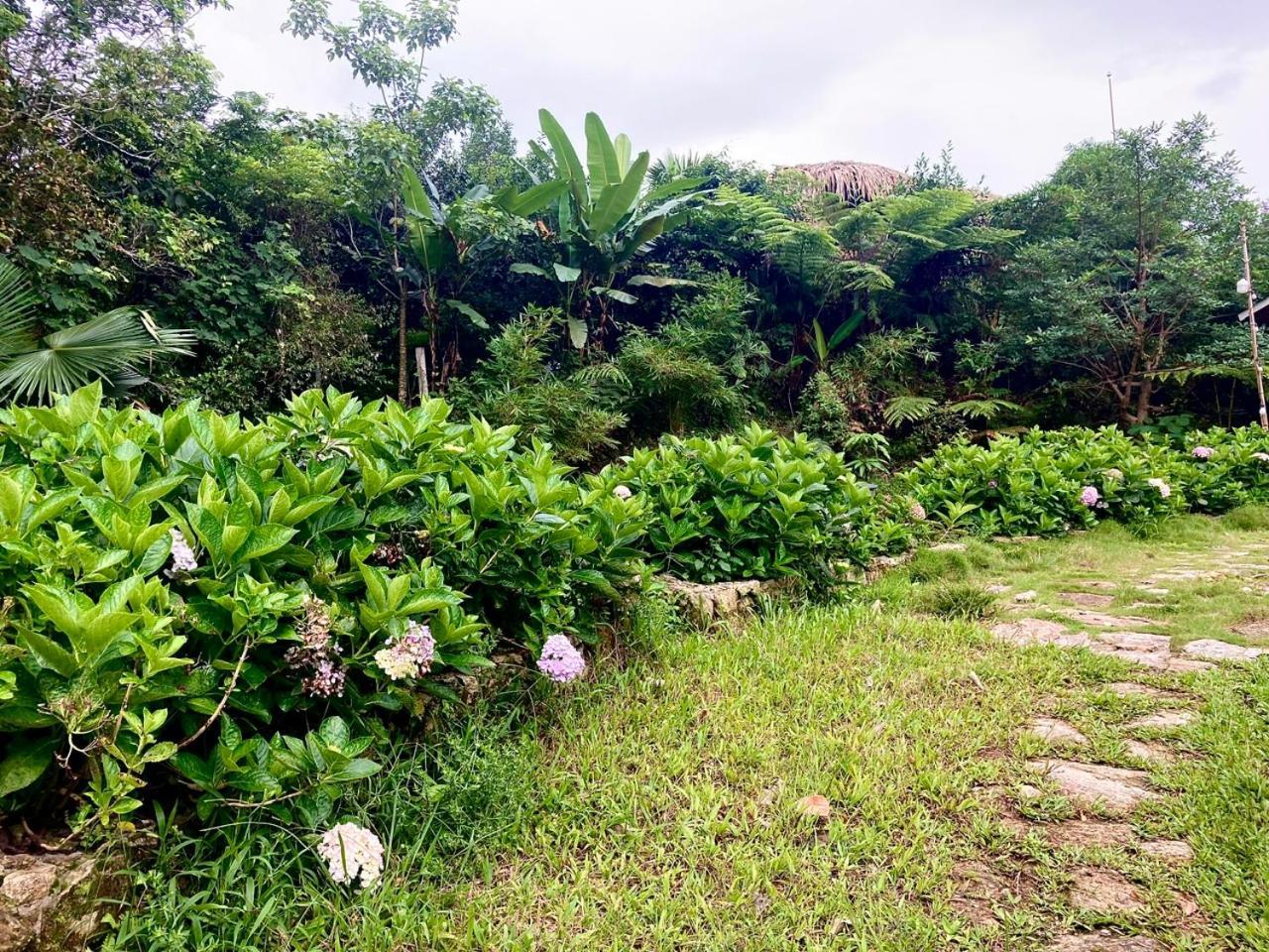 Tvpalm Ecolodge Ha Giang Dış mekan fotoğraf