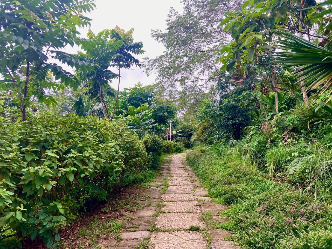 Tvpalm Ecolodge Ha Giang Dış mekan fotoğraf