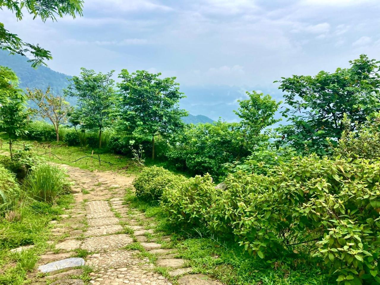 Tvpalm Ecolodge Ha Giang Dış mekan fotoğraf