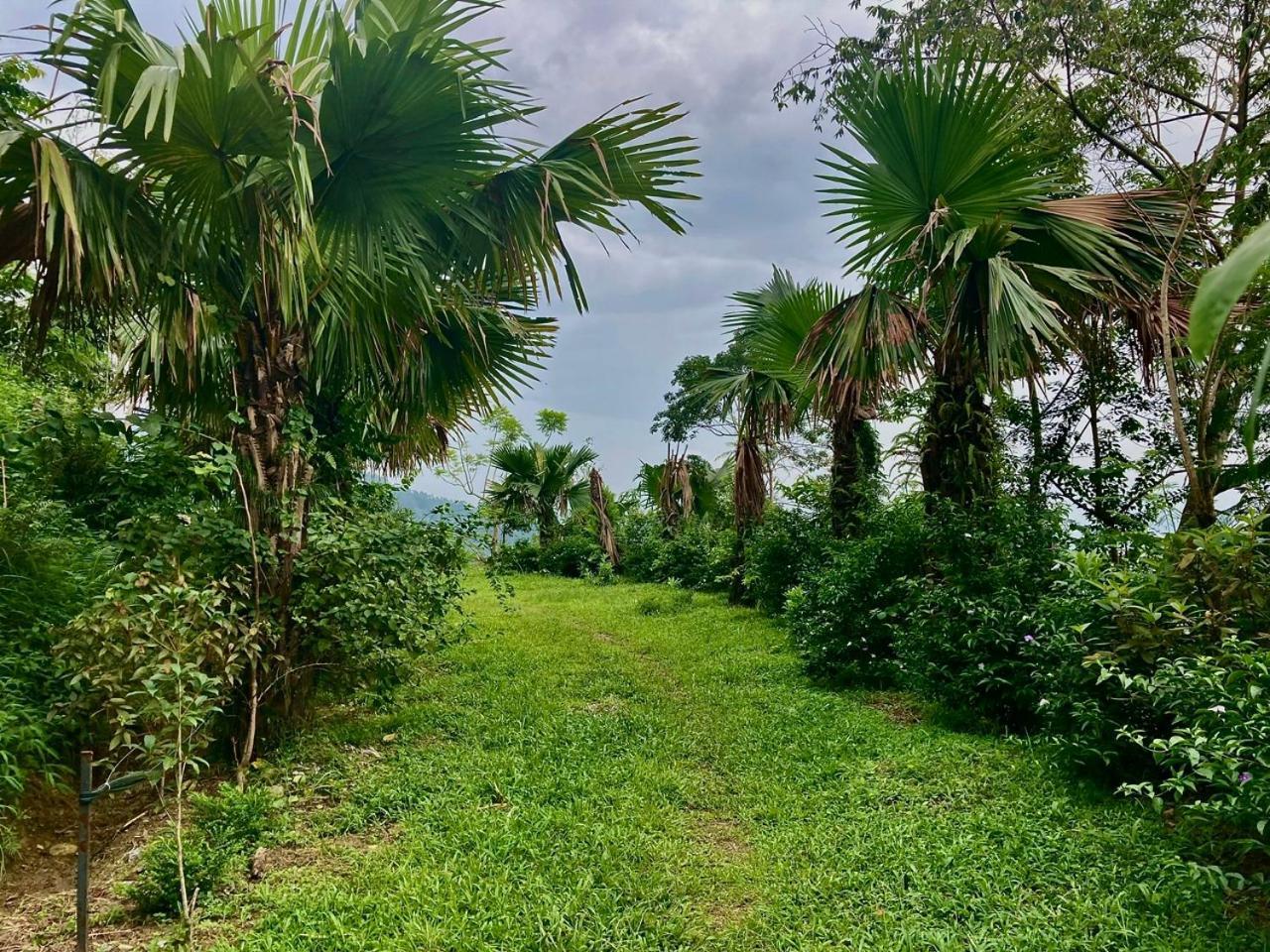 Tvpalm Ecolodge Ha Giang Dış mekan fotoğraf