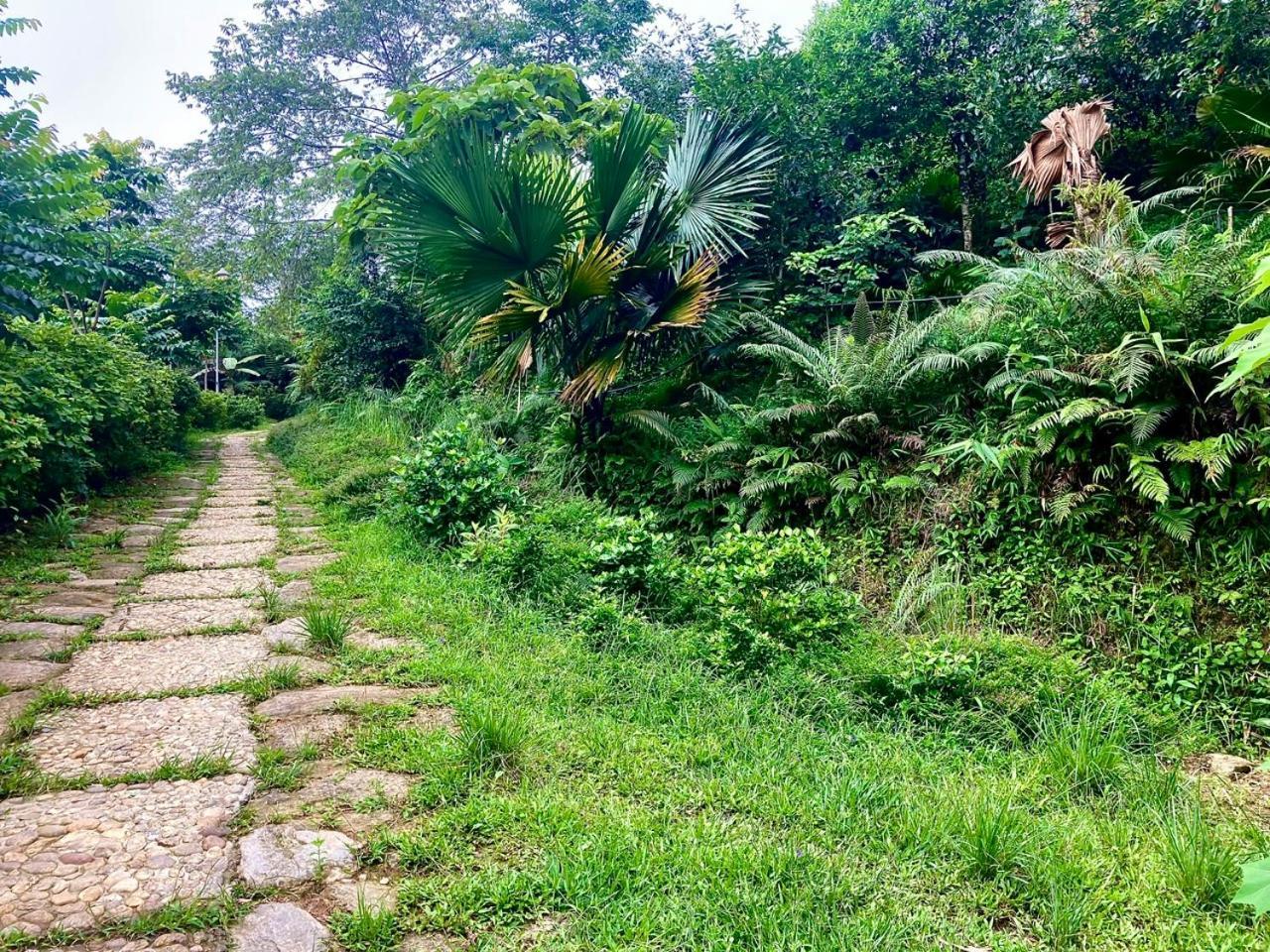 Tvpalm Ecolodge Ha Giang Dış mekan fotoğraf