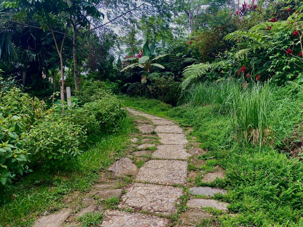 Tvpalm Ecolodge Ha Giang Dış mekan fotoğraf